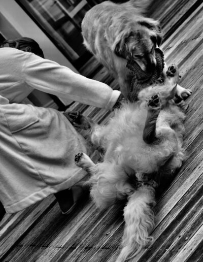 Black and white photograph of a golden retriever rolling playfully on its back on a wooden deck beside a person in a dressing gown